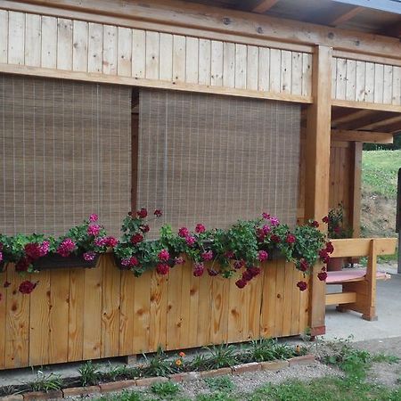 Apartment Rendulic Раковица Екстер'єр фото